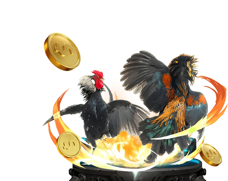 Tổng quan ứng dụng s6666